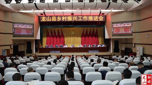 龍山縣人民政府 龍山縣鄉(xiāng)村振興工作推進(jìn)會(huì)召開