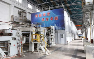 熱點 打好 虧損治理和提質(zhì)增效 攻堅戰(zhàn) 銀河紙業(yè)楊木漿二期項目順利開機投產(chǎn)